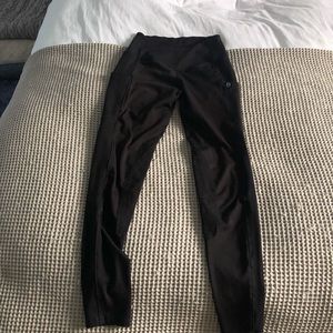 Botori horse riding pants